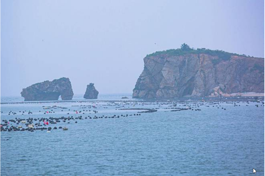 庄河市召开渔业养殖外来从业人员排查暨渔业养殖区安全生产工作会议